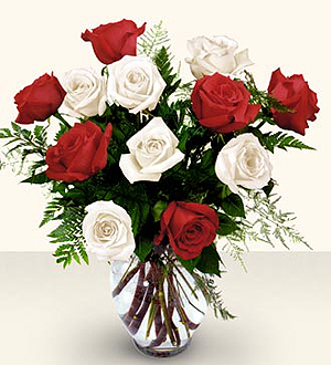 Fleuriste.Ca Signe Lucia Scardera Le bouquet de 12 roses rouges et blanches  de luxe à longue tige FTD ® Boucherville, QC, J4B 0G6 FTD Florist Flower  and Gift Delivery